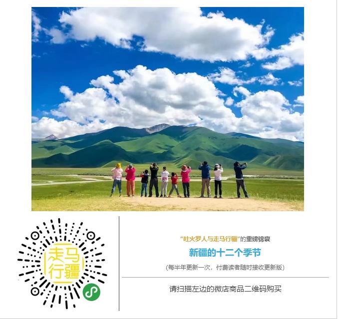 走马春季追花线|春漫*疆新**，牧笛声声中的杏花村