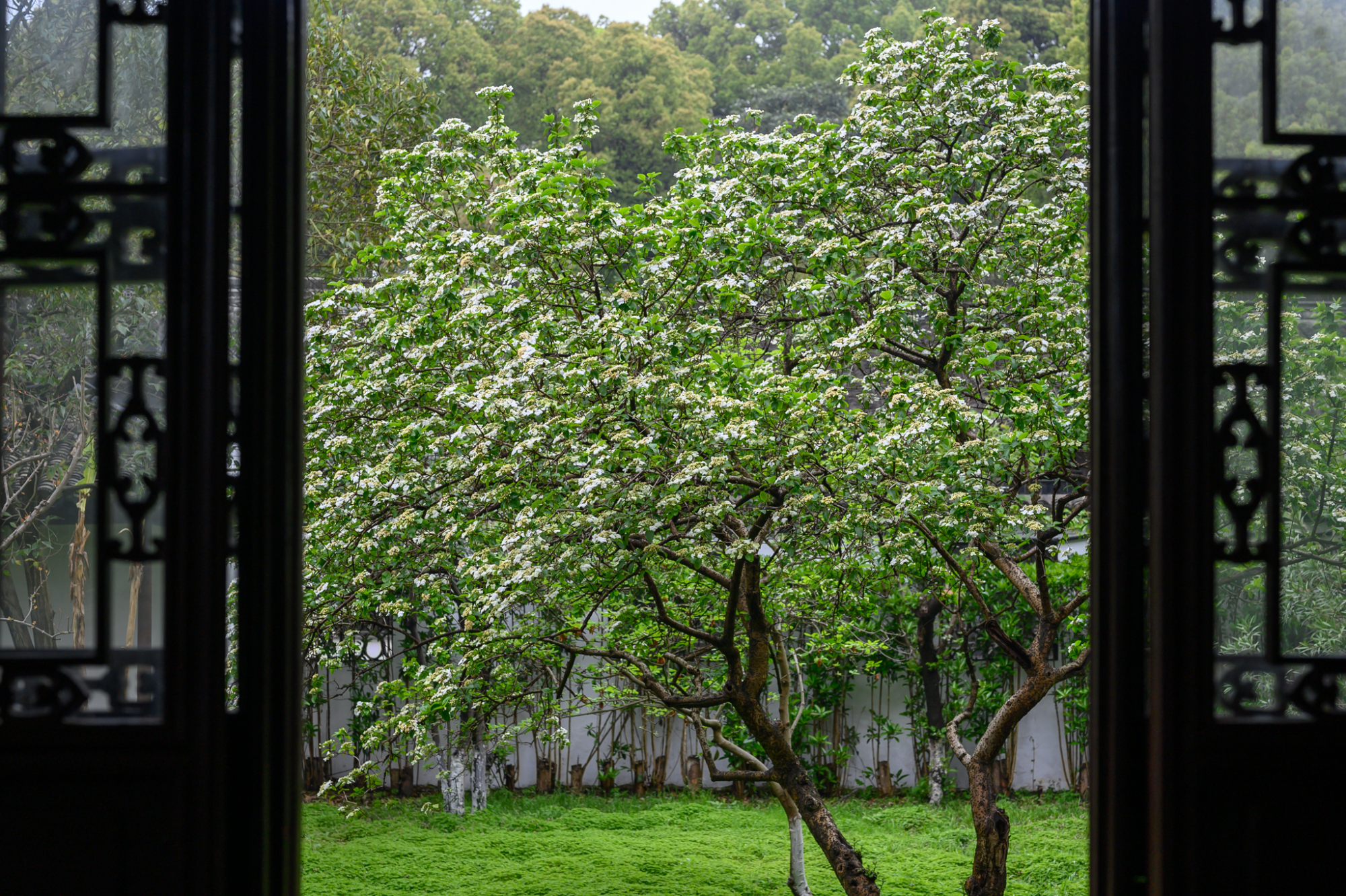 苏州东山旅游景点攻略,苏州东山旅游攻略免费景点