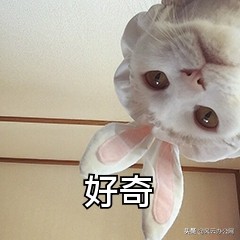 如何一键倒放视频,视频号怎么倒放视频