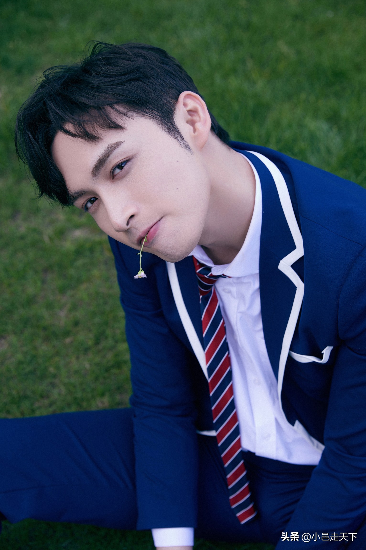 三分野张彬彬同款西装,张彬彬西装图片图文