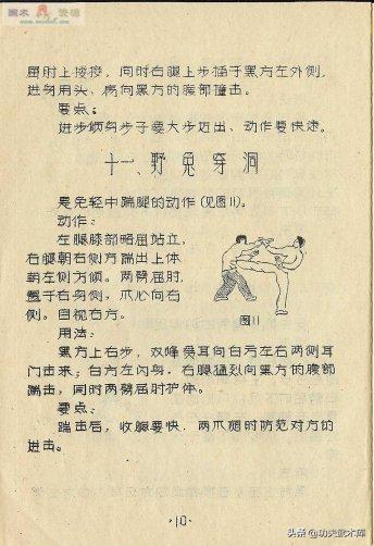 失传已久的古少林迷踪拳秘籍,少林十三抓拳谱