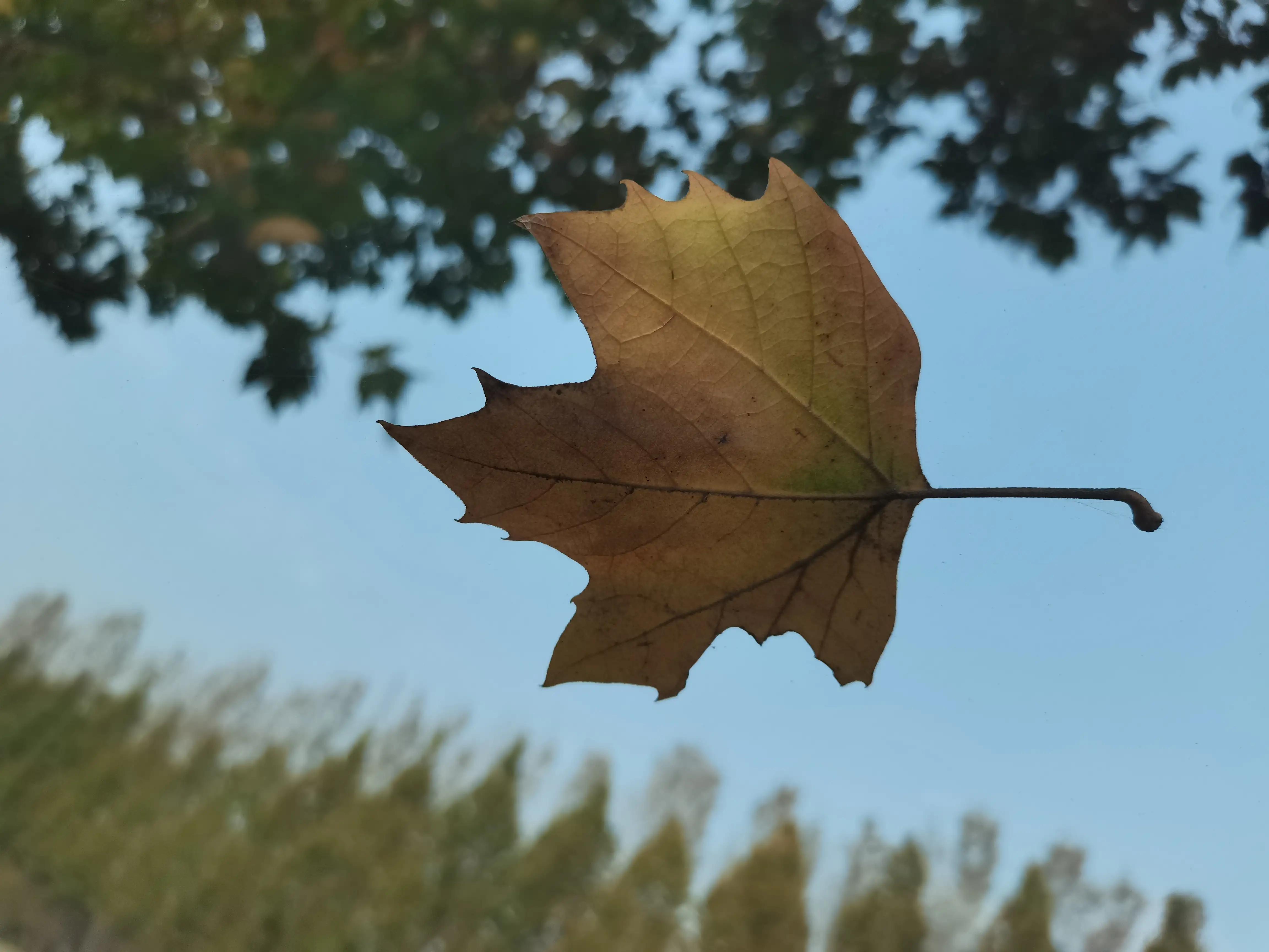 带你走进汽贸,卖车给二手车商需要哪些流程