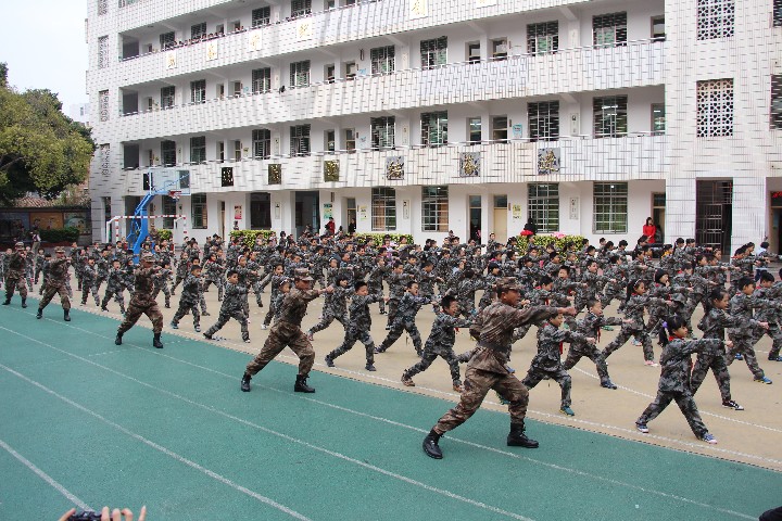 泉州城东区小学排行榜,鲤城私立小学排名前十名
