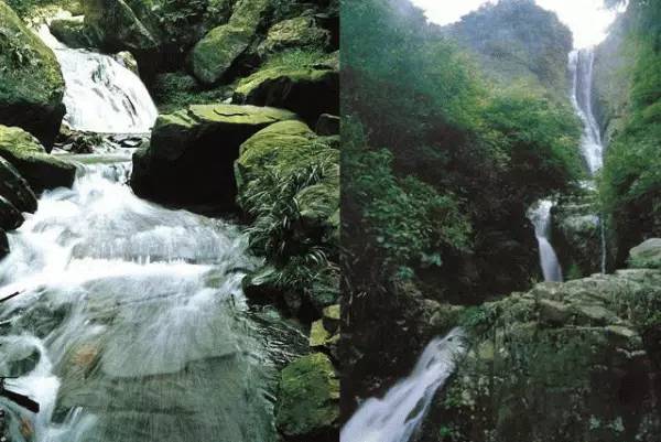 看看外国人怎样看待人生,看看外国人的中文水平