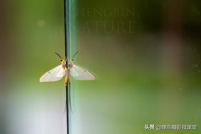 松下全画幅微单s1评测,松下s1全画幅微单拍摄视频