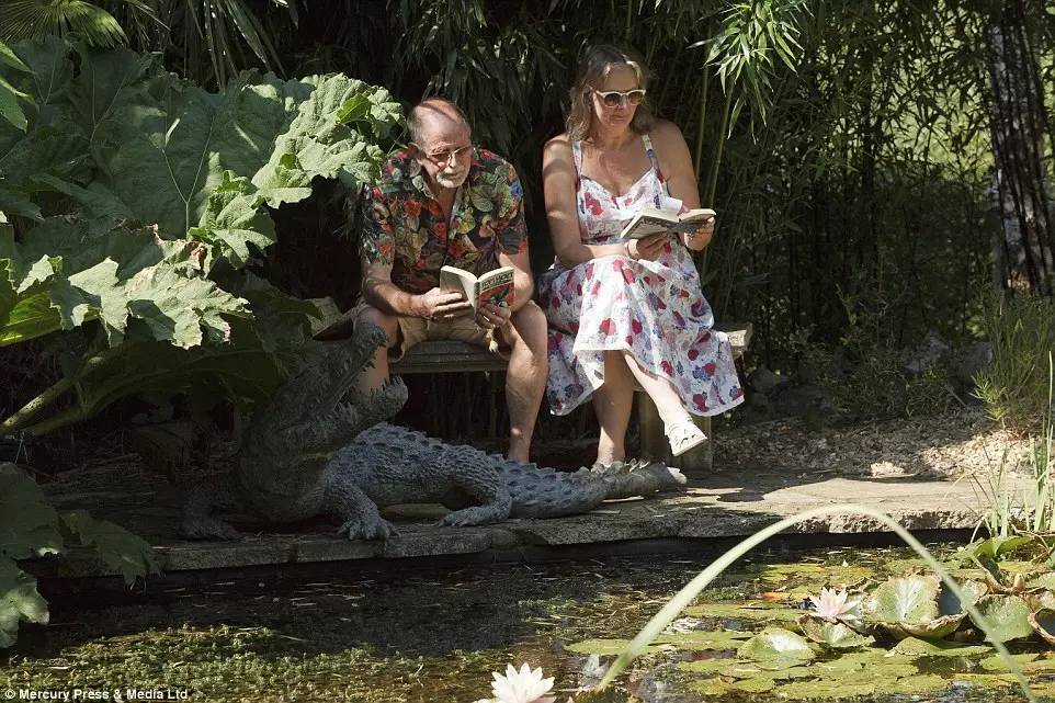 英国家庭花园建造,英国夫妇22年打造梦幻花园