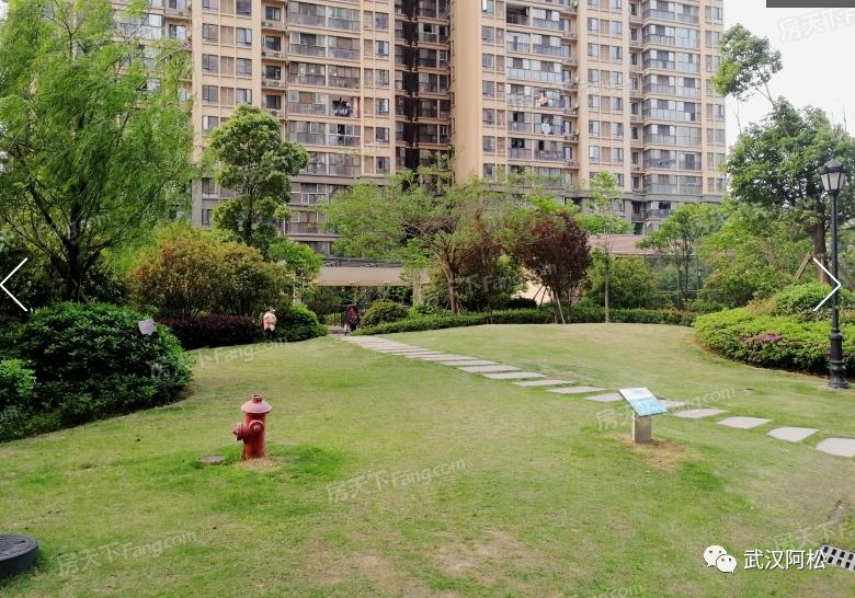 之前买的都笑开花了!光谷三环边77平两房!旁边有好学校!