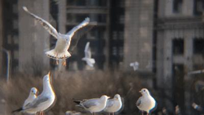 拍物体光线技巧,手机如何拍光线轨迹