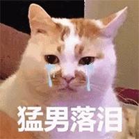 猫咪尿血怎么治疗好得快,猫咪尿血有什么方法可以治吗