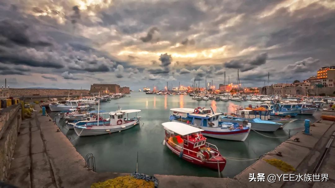 鱼鹰老人：可不可以，不要忘了我们