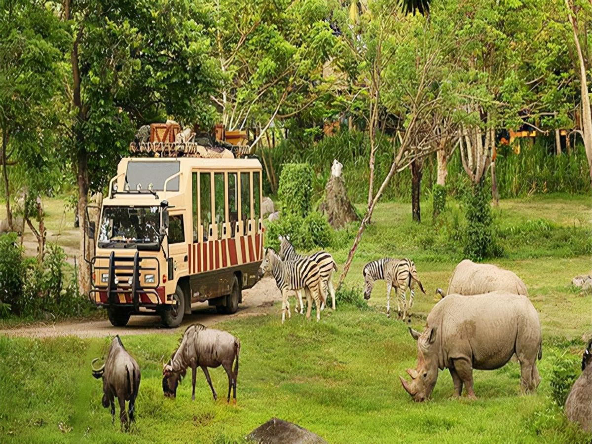 老虎咬死人事件真相,八达岭老虎咬游客事件