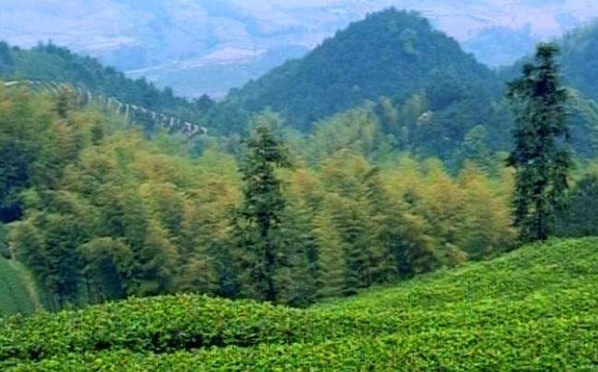 重庆市永川区茶山竹海派出所,重庆市永川区茶山竹海的海拔