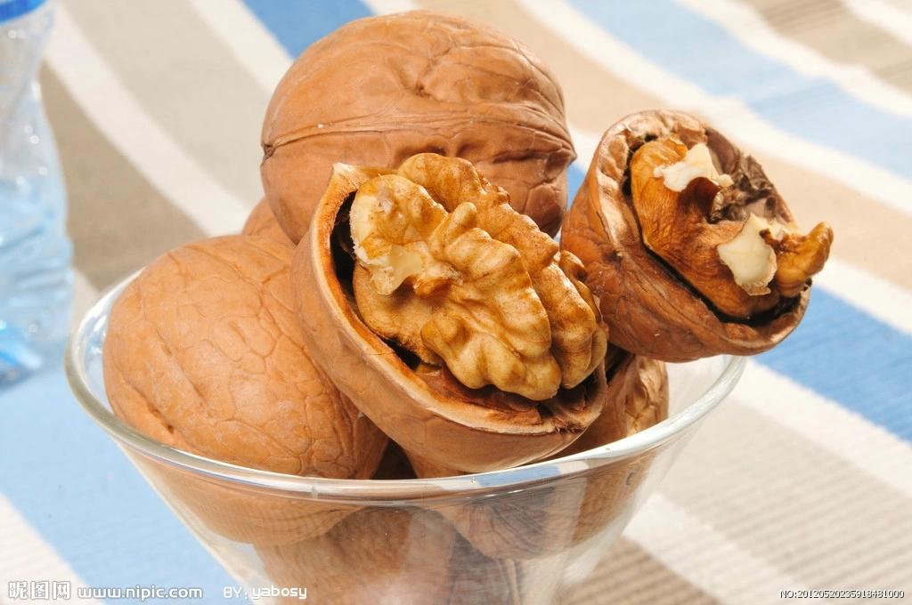 日常对狗狗危害最大的食品,防狗器对犬的危害