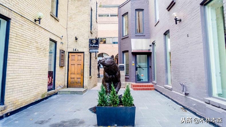 加拿大多伦多生活日记,加拿大多伦多留学生活纪实