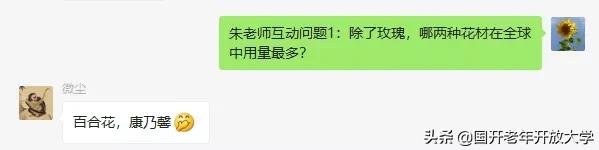 老年大学插花教程,创意插花课