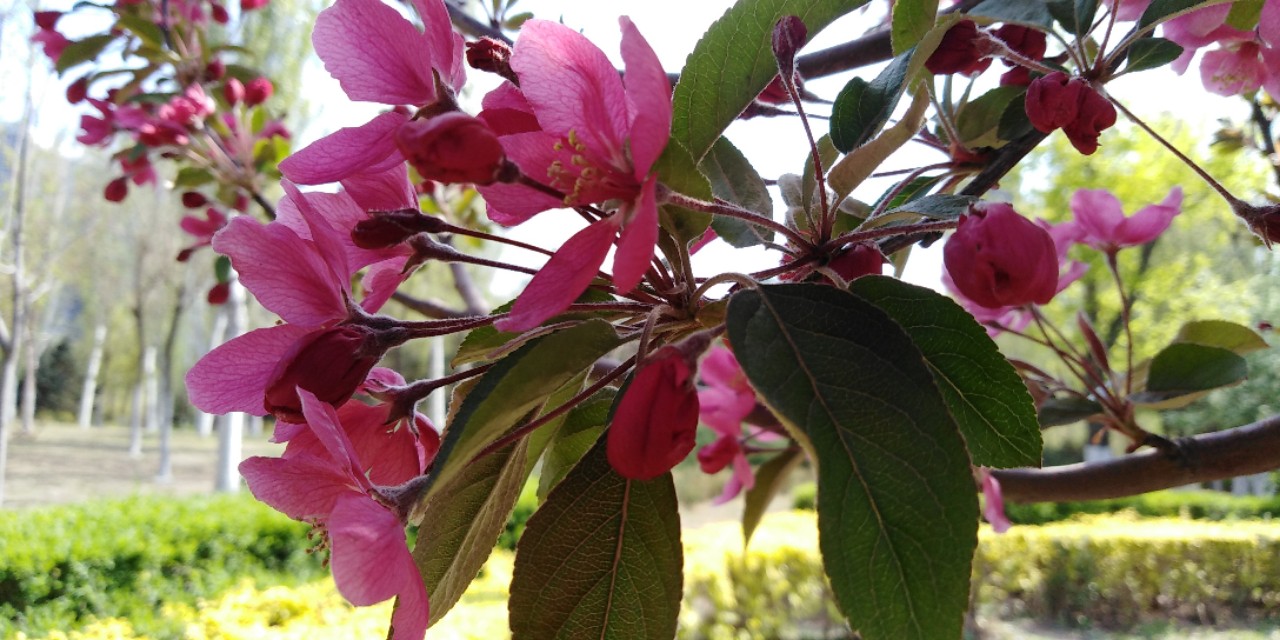 沈阳长白岛森林公园一日游攻略,长白岛森林公园五一