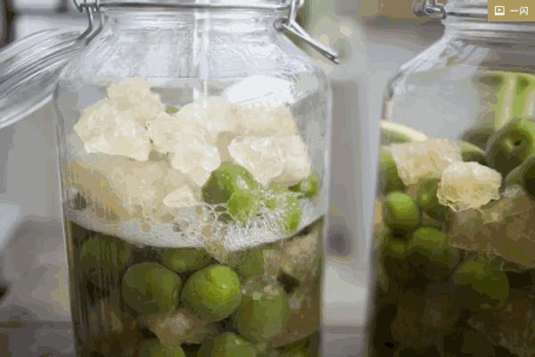 米酒酿酒技术教程大全,酿酒师分享青梅酒制作方法