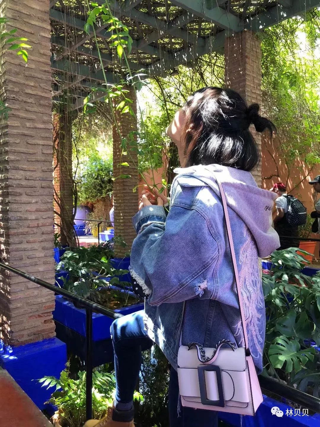 摩洛哥10天,摩洛哥12天瘦5斤减肥成功案例