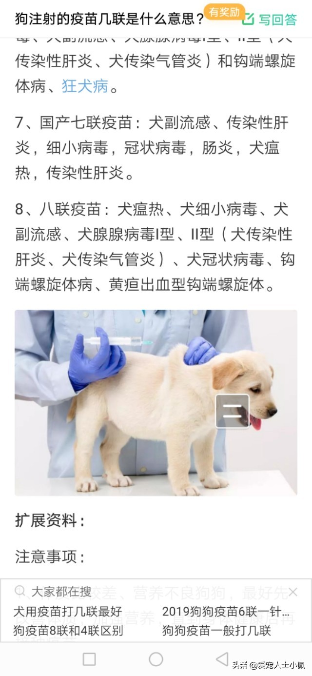 给狗狗打疫苗教学视频防咬,给狗狗打疫苗的正确方法