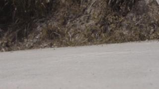 altraparadigm6,altraescalanteracer跑鞋评测