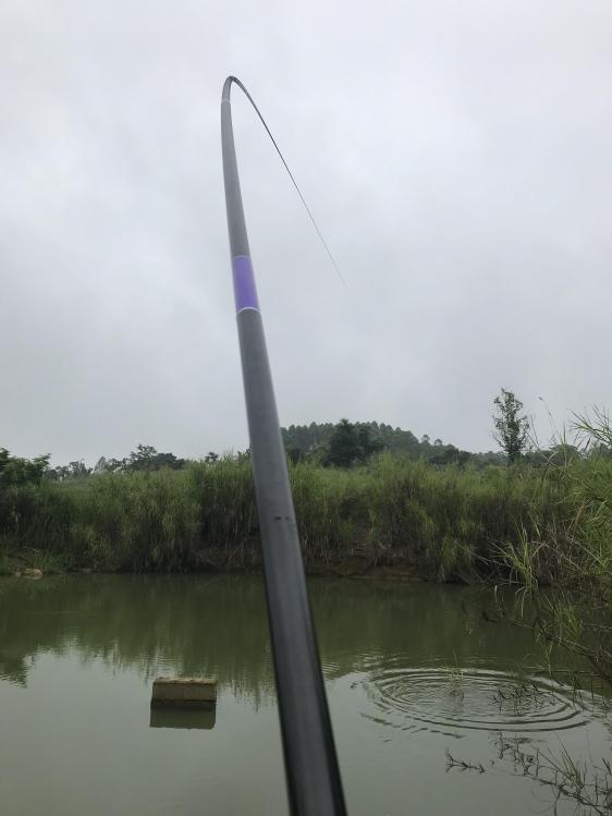 鱼竿类别和钓法,鱼竿手竿怎么选择最好