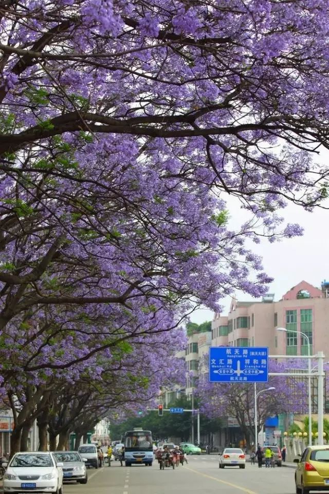 四川藏着一个静谧古城,四川被忽略的古城