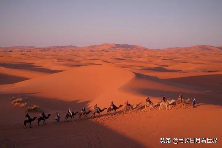 那又怎样，先干了这杯酒