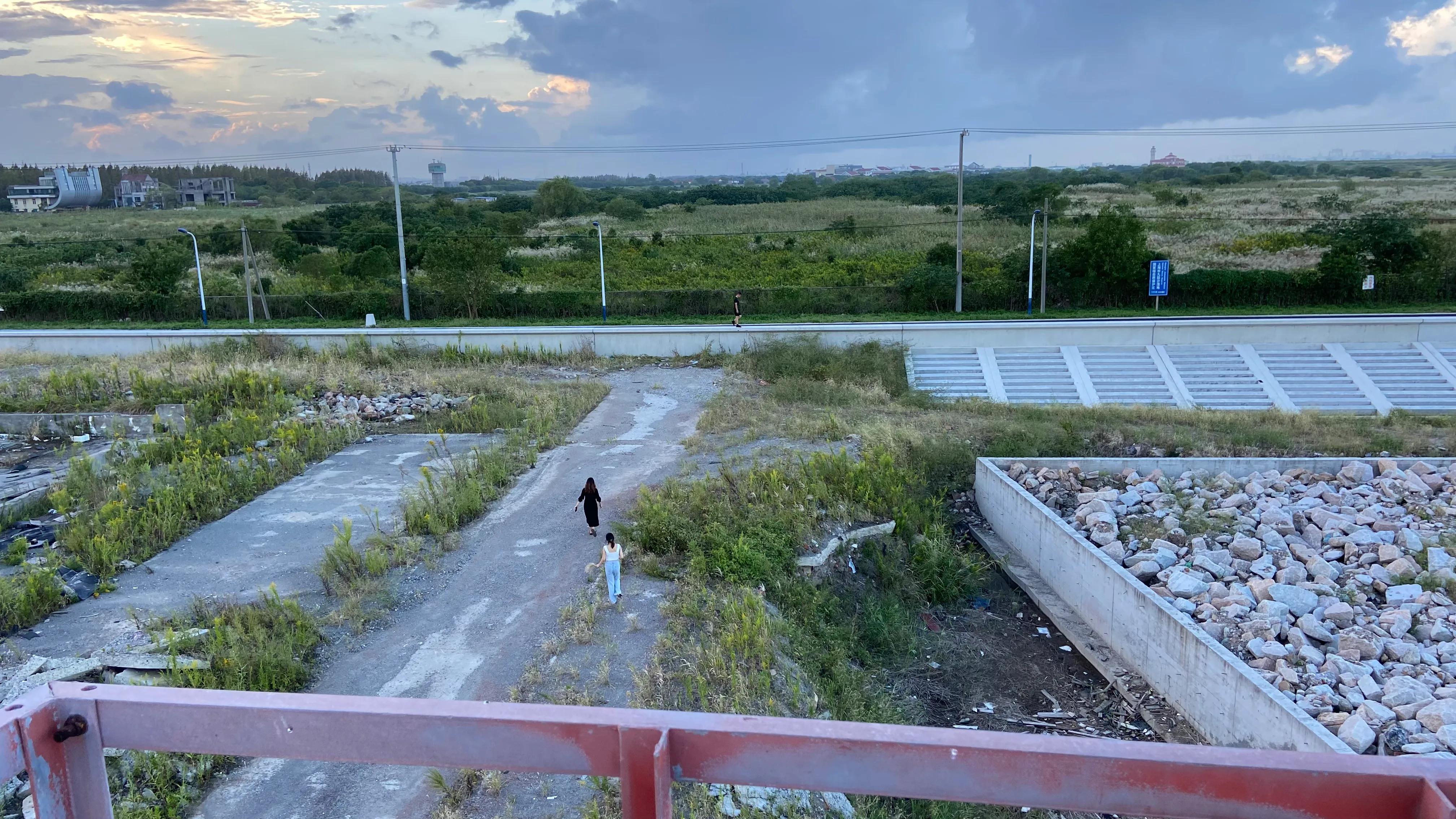 上海看美丽的大海,上海哪里有海滩看大海免费