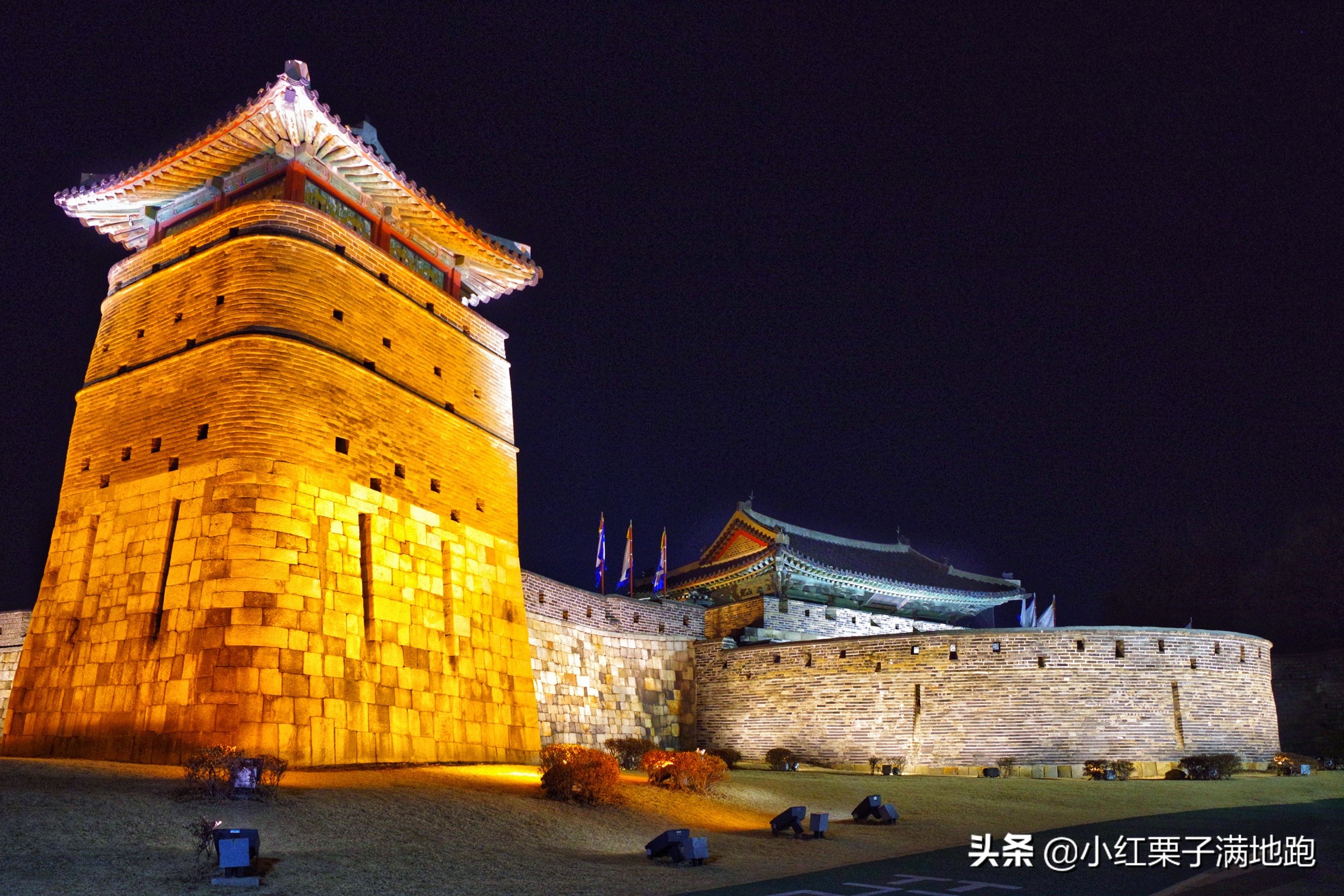 疫散花开张家界,疫散花开欢迎归来