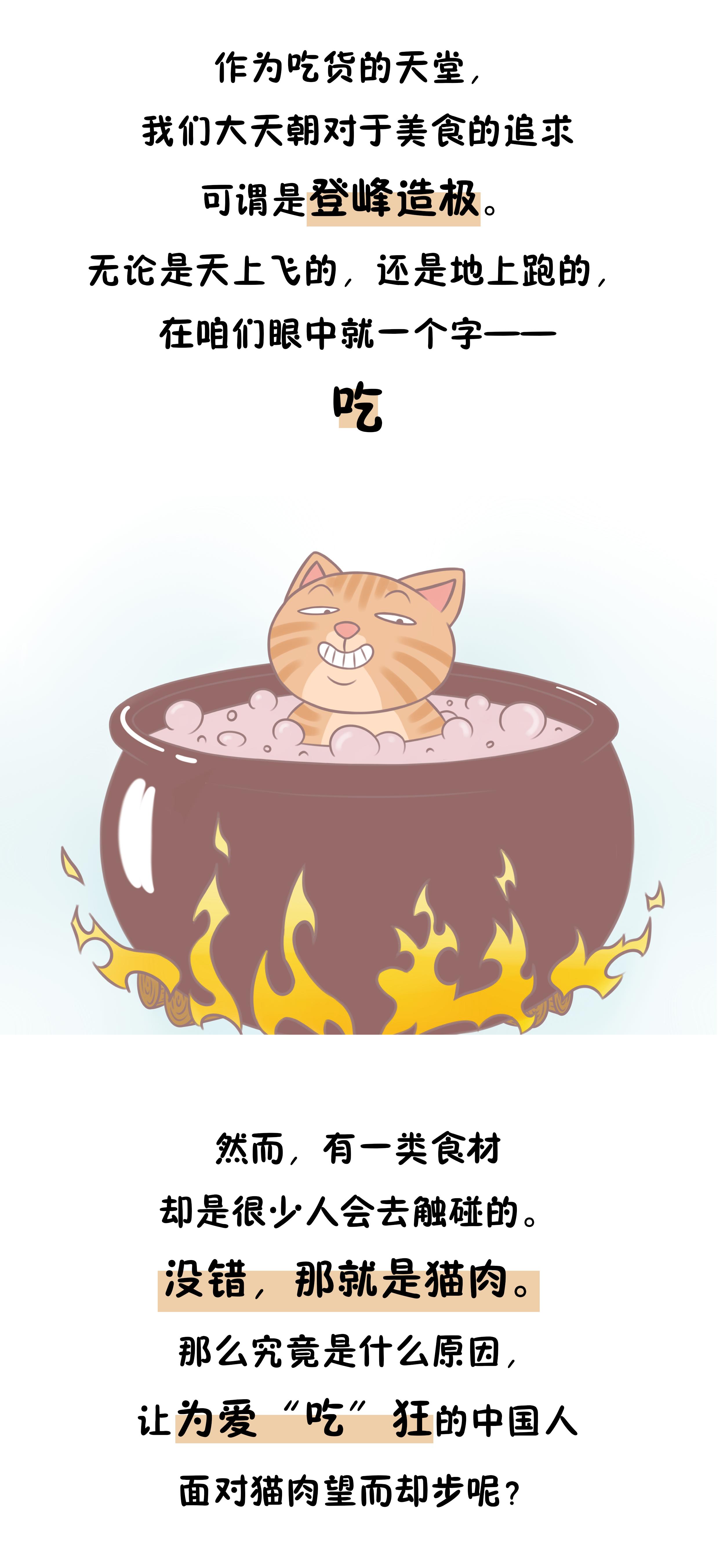 吃*肉猫**竟是国人的忌讳，仅仅是因为口感不好吗？可没那么简单