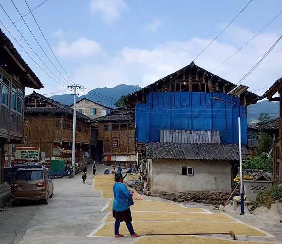 贵州网红“乞丐哥”的罪恶人生,网红乞丐哥拐卖妇女被抓