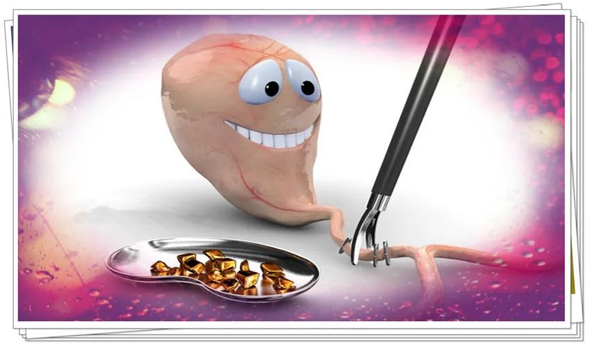 当孕妇患上了胆囊结石，怎么办？