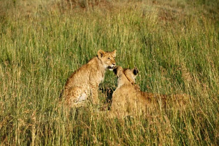 小众蜜月度假地点推荐,小众度蜜月旅游胜地