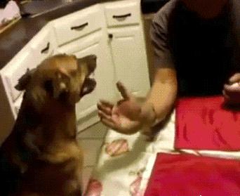 搞笑gif段子因为爱情所以共患难,搞笑gif段子小伙子你谈恋爱了吗