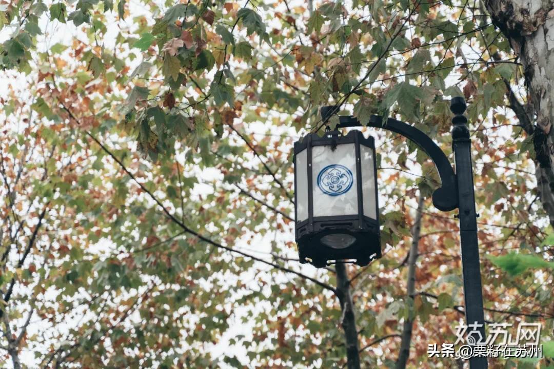 苏州古城区步行道,苏州古城步行线路石路