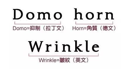 日本高端的品牌,日本有哪些很好用的小众品牌