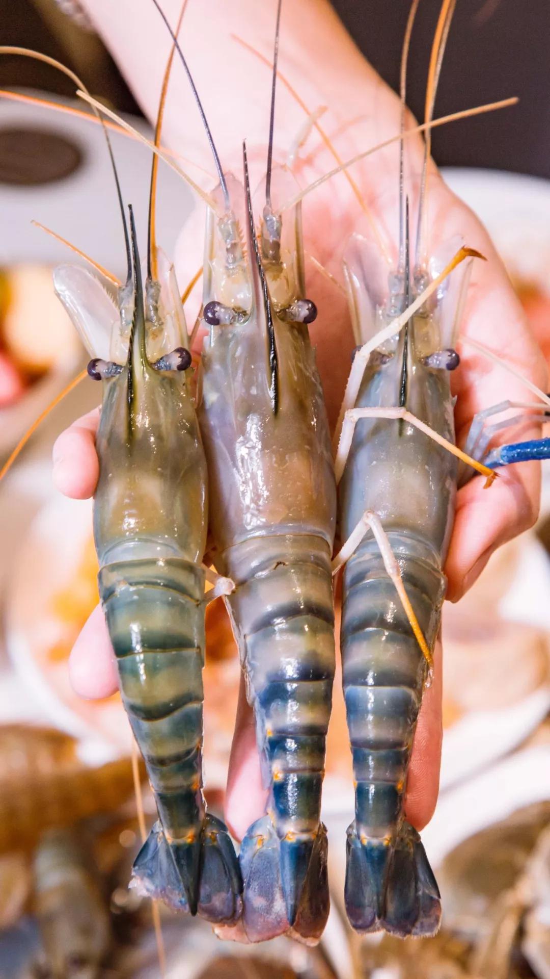 太强了！平价海鲜自助战斗机，0.63元/一道菜