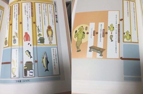 真正的日本龙标本,日本龙标本是不是真的