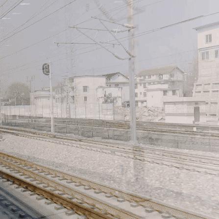 不得不了解的冷知识,旅行保命冷知识