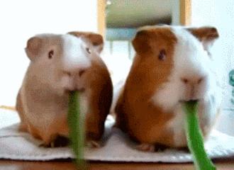 空腹吃这些食物等于慢性自杀？看完更慌了，第一个就经常吃…