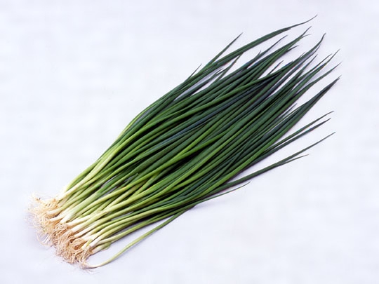 怎么用简单的食材做出最美味的菜,最简单的食材做成最美味的菜