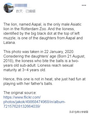 母狮一天发情40次，还追着公狮咬蛋蛋？根本不是这样啊....