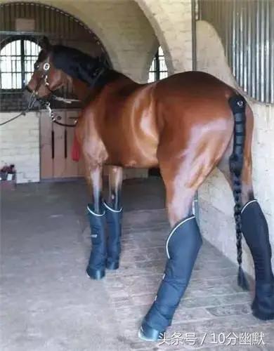 想当一名游泳教练,业余爱好者能当游泳教练吗