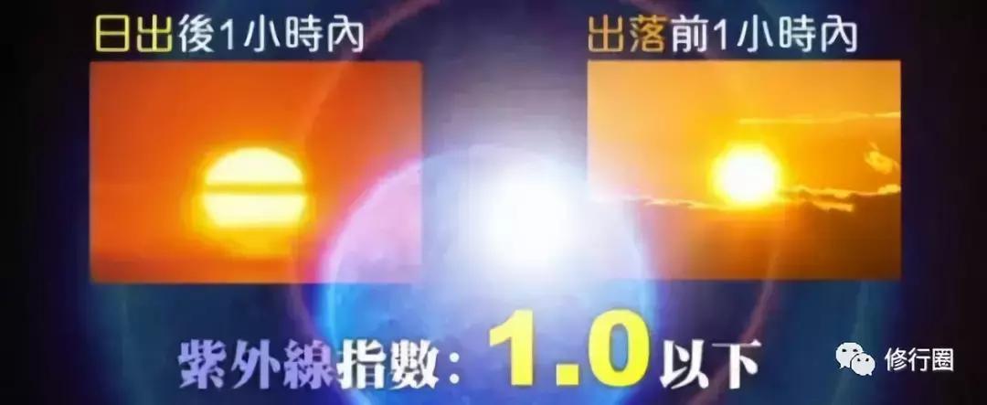 以太阳为食物的人,以阳光为食