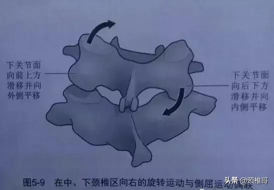 仰脖子颈椎咔咔响,晃脖子颈椎会响是什么原因