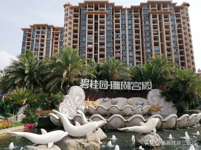 清水湾房地产优势,清水湾从哪里开始止于哪里