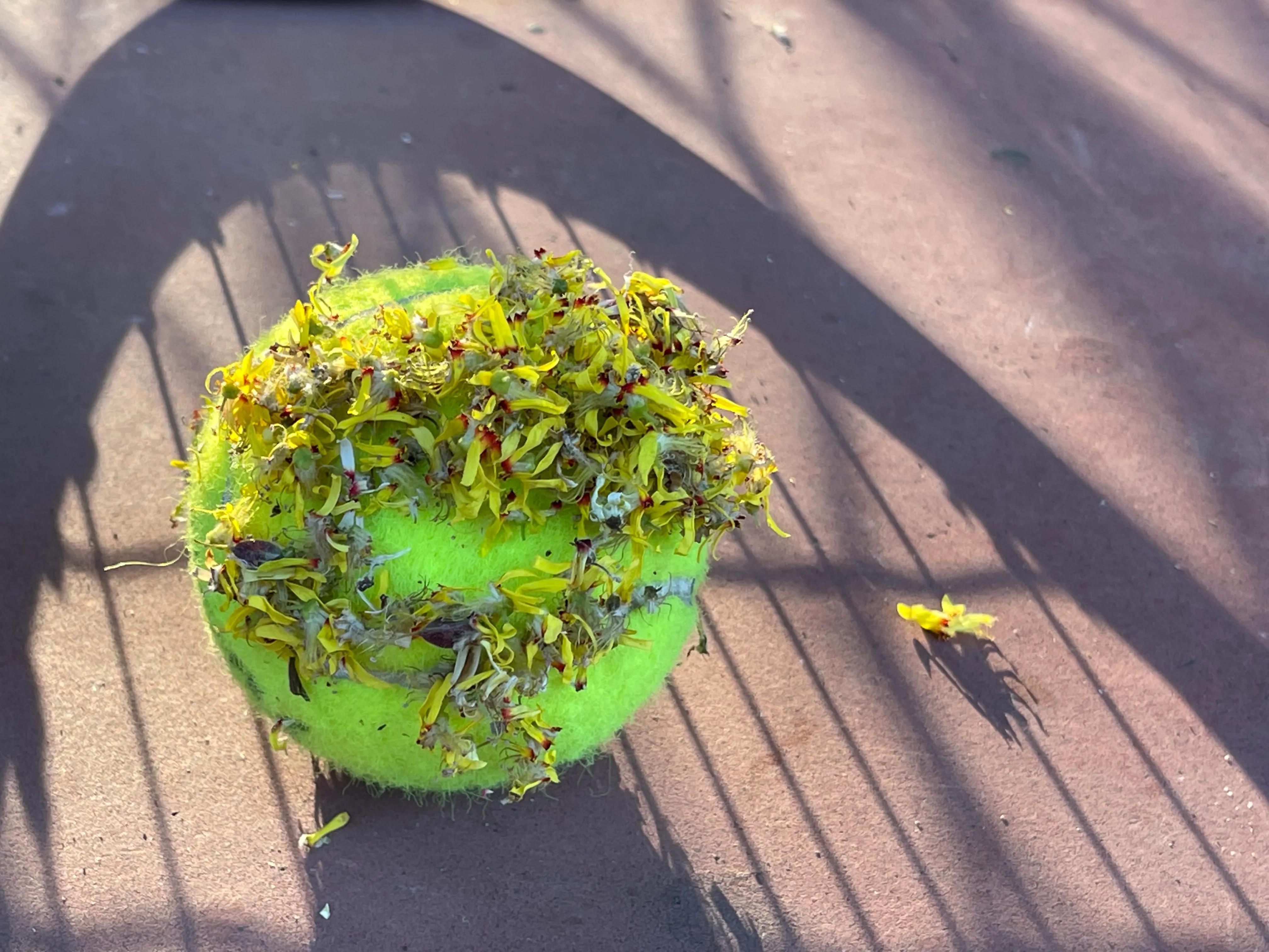 绉嬫棩绗旇鐩存挱,绉嬫棩绗旇