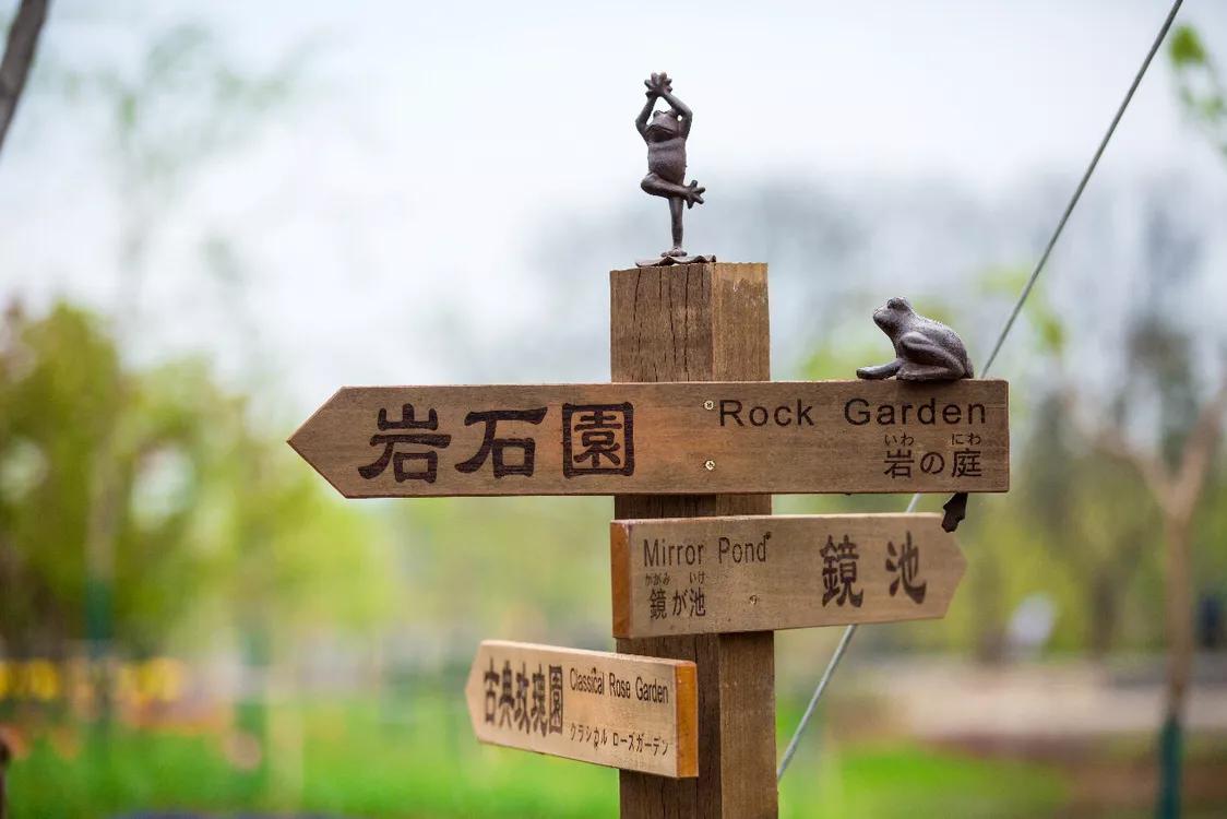 不用去维多利亚！南京溧水惊现布查特花园，文艺值爆表！