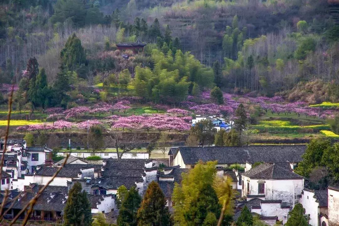 一个徽州惊艳全世界,徽州凭什么惊艳世界