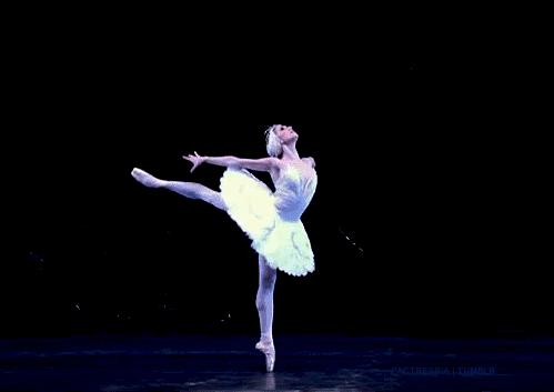 精彩继续！12月广东畅游指南，为你的2018划上圆满句点